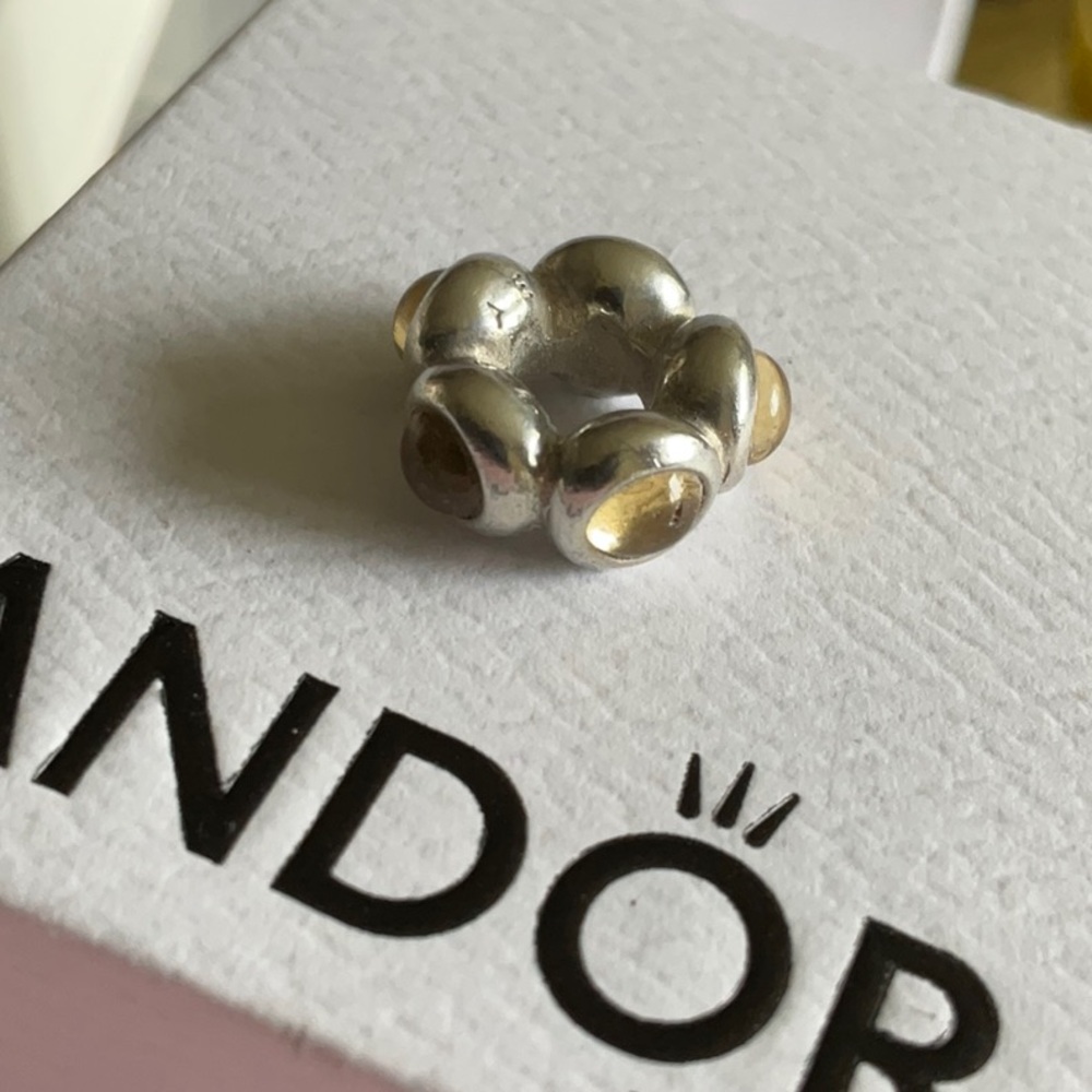 Pandora Silver and Gold Bracelet Charm
